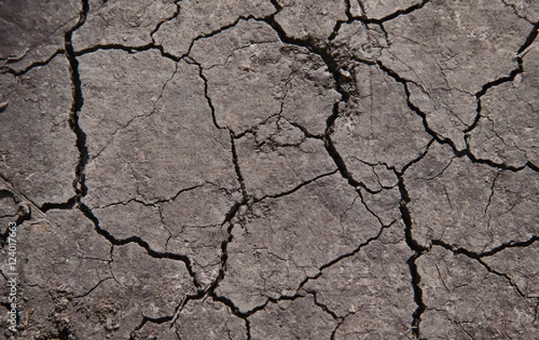 Fototapeta Cracked soil