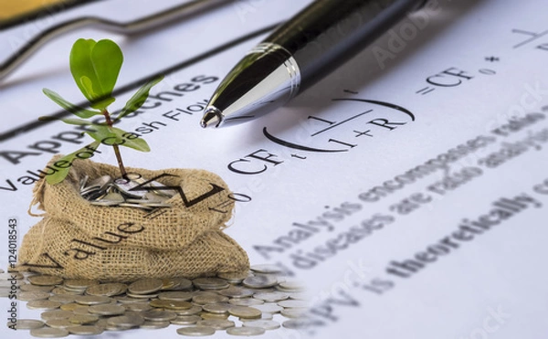 Obraz Investment valuation concept.Double Exposure of sprout growing from coins in money bag and Pen on Discount cash flow model background.
