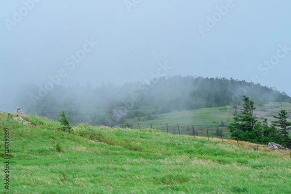 Obraz 美ヶ原高原