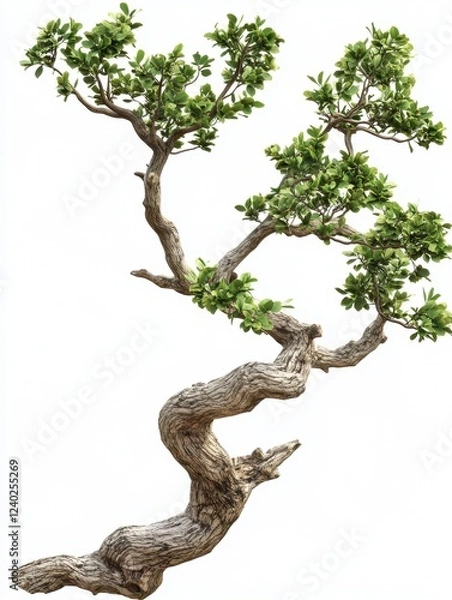 Fototapeta Unique tree with twisting branches and lush leaves.