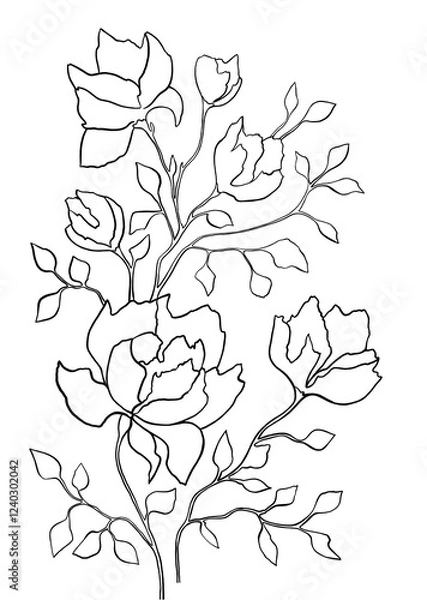 Obraz Black and white digital art floral template. Isolated Hand drawn black contours of magnolia flowers on white background. Template for design, coloring page, invitation.