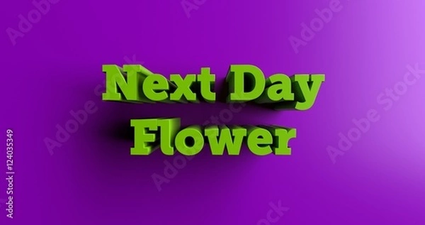 Fototapeta Next Day Flower Delivery - 3D rendered colorful headline illustration.  Can be used for an online banner ad or a print postcard.