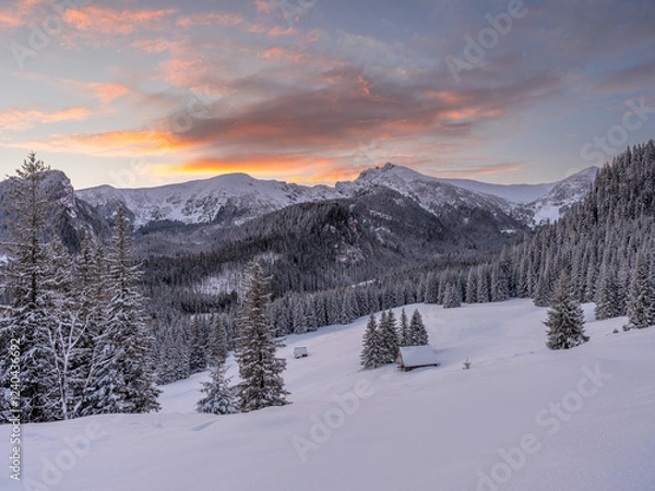 Fototapeta Tatry: Polana Kalatówki w mroźny, zimowy poranek przed wschodem słońca
