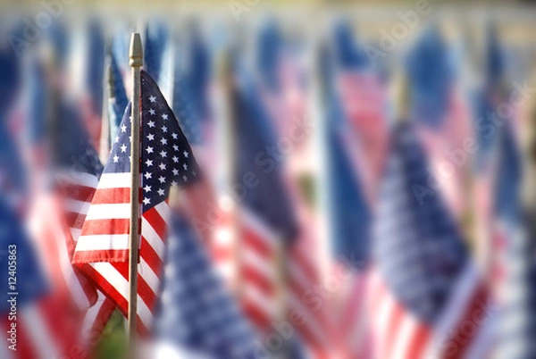 Obraz wyróżniać się