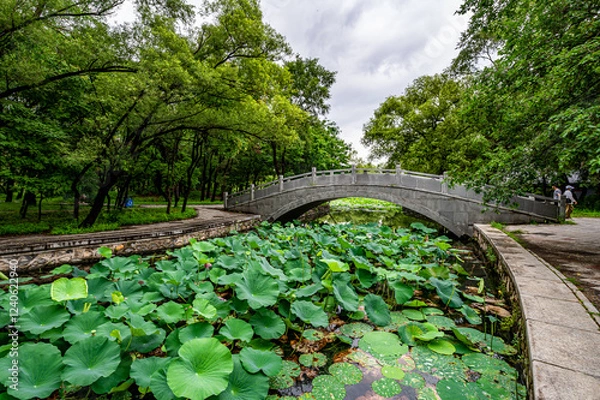 Obraz Scenery of Beiling Park in Shenyang, China