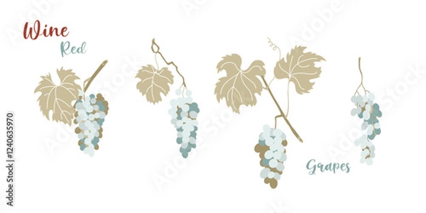 Fototapeta Grapevine leaves and red grape bunches in flat style design.