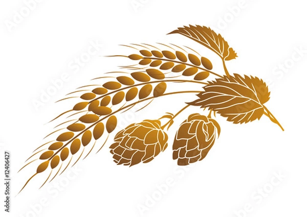Obraz Hops and wheat