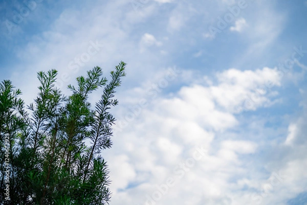 Fototapeta blue sky with clouds