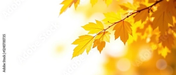 Fototapeta Autumn Leaves Fall Transition - Close Up Alpha Channel