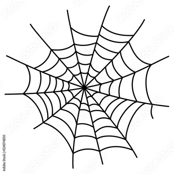 Fototapeta Black cobweb element, isolated on white background.