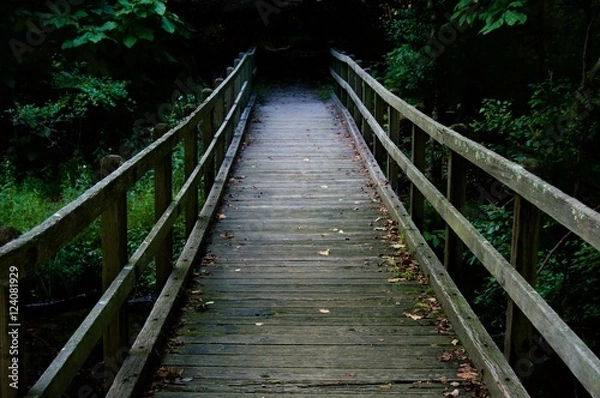 Obraz Wooden Bridge Leading into the Wood