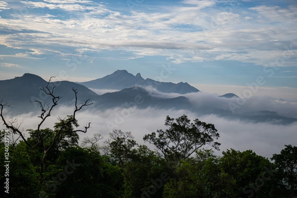 Fototapeta Scenic layered mountain with vibrant green foliage in the foreground transitioning to hazy blue peaks in the distance, capturing the beauty of the blue ridge mountains.