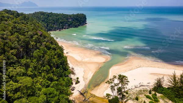 Obraz Aerial shot of a sandy beach surrounded by dense tropical rainforest at Bako, Borneo