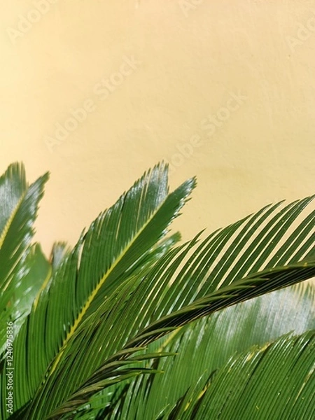 Obraz Palm trees leafs on a yellow background wall