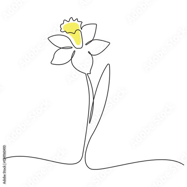 Fototapeta Continuous one line drawing of daffodil flowers. Vector illustration.