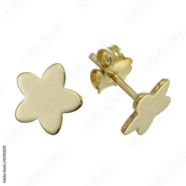 Obraz Small earrings on white background.