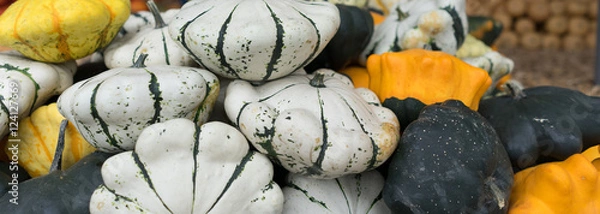 Obraz Herbstlicher Kürbismarkt