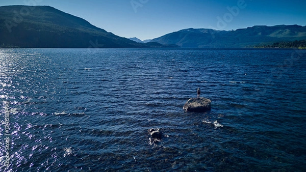 Obraz ducks in the lake