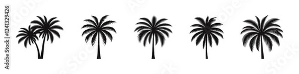 Fototapeta Palm tree silhouettes set. Tropic coconut tree collection. Vector illustration.