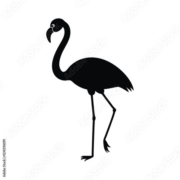Fototapeta Flamingo vector illustration