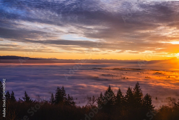 Fototapeta Rays of sunlight casting golden glow over Fraser Valley, BC, dawn cloud inversion, with alpine mountains visible in silhouette on far horizon.