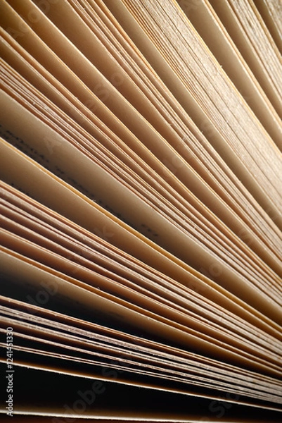 Fototapeta Old ancient book pages Library vintage collection Science and history background pale biege