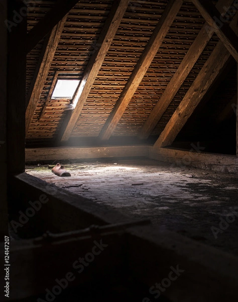 Fototapeta In the attic
