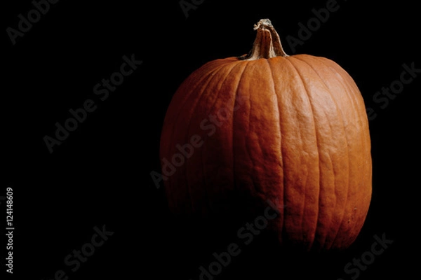 Obraz pumpkin on black background Halloween concept