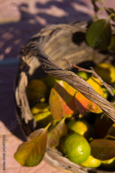 Obraz Cesta d'autunno