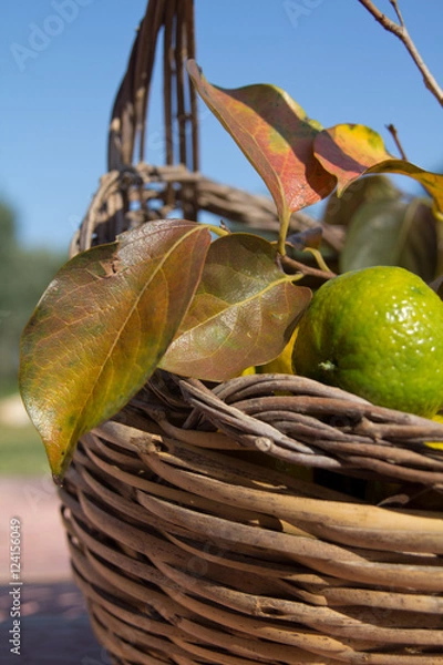 Obraz Cesta d'autunno