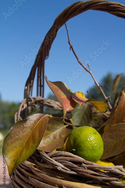 Obraz Cesto d'autunno