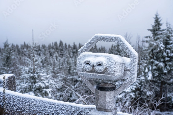 Obraz A snowy binocular view under a grey sky surrounded by a peaceful pine forest conveys cool winter stillness
