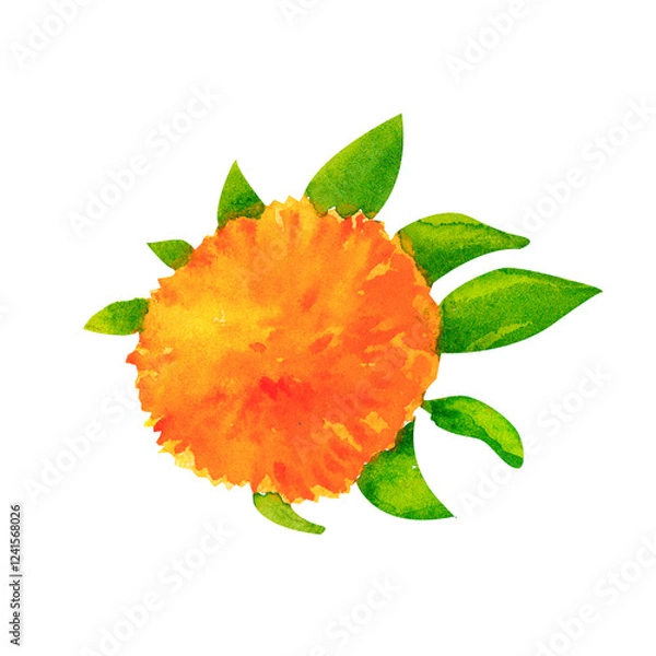 Obraz A safflower blossom with vibrant orange-yellow hues. This watercolor illustration is perfect for home decor accents, botanical illustrations, or product packaging with a natural focus.