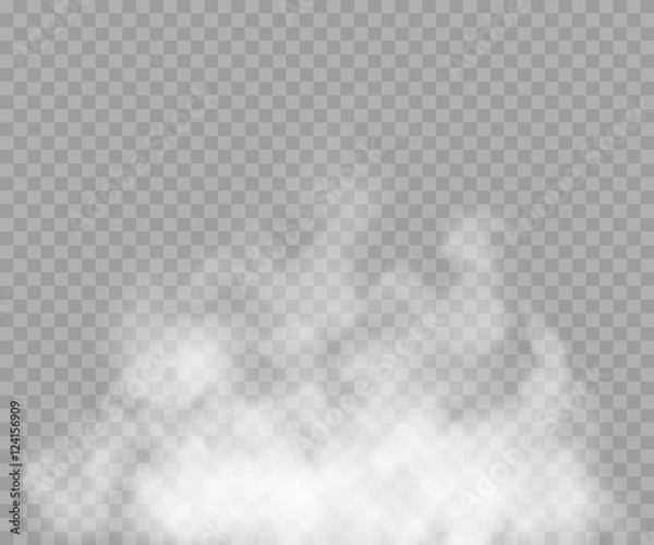 Fototapeta Fog or smoke isolated transparent special effect. White vector cloudiness, mist or smog background. Vector illustration