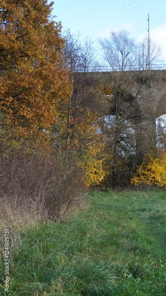 Obraz Railway bridge in the middle of the park in the city in autumn