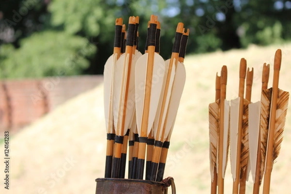 Fototapeta Colored feathers for arrows in a quiver
