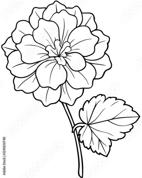 Fototapeta A detailed line drawing of a flower, ideal for coloring or artistic purposes.