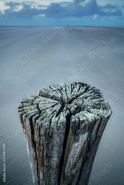 Fototapeta Wooden pole on the beach in stormy weather on the Dutch coast at twilight