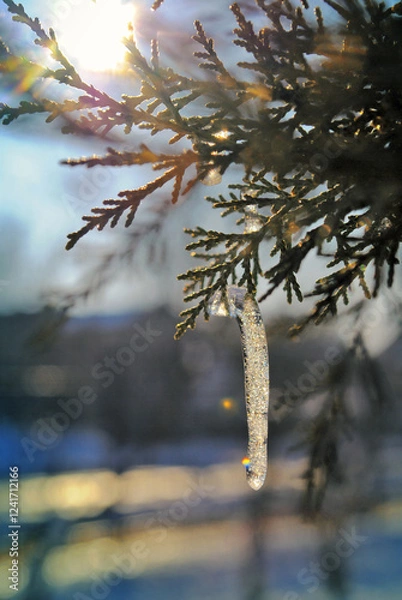 Fototapeta A close-up shot of an icicle hanging from a tree branch, illuminated by sunlight. The icicle is sparkling with the sun’s reflection, while the background shows soft bokeh from the light filtering thro