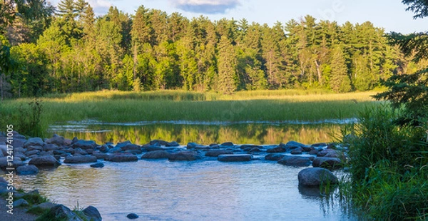Obraz The Source or beginning or start of the Mississippi River at Lake Itasca in Minnesota. Water, trees, reeds, rocks and shoreline in evening light.