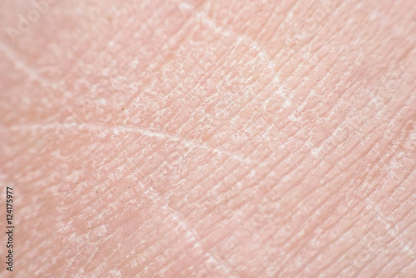 Fototapeta skin texture