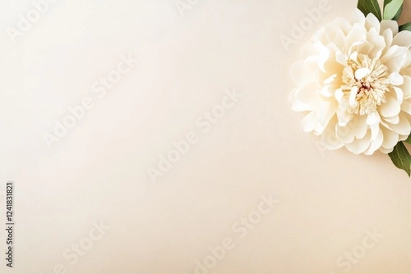 Fototapeta Macro shot showcases a pressed peony flower on textured handmade paper, highlighting soft shadows and intricate petal details against a neutral backdrop