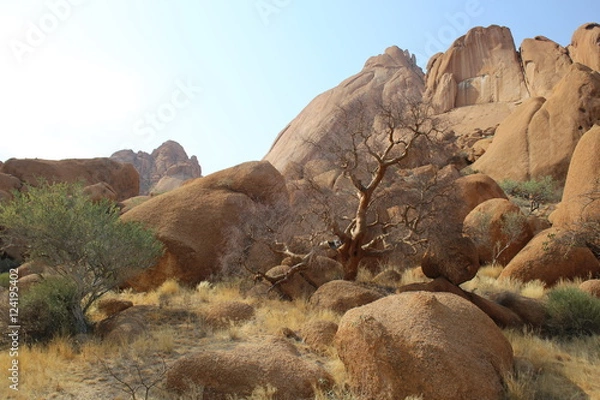 Obraz Namibian Landscape