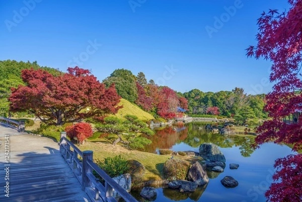 Fototapeta 青空バックに見る静寂に包まれた秋の日本庭園の情景