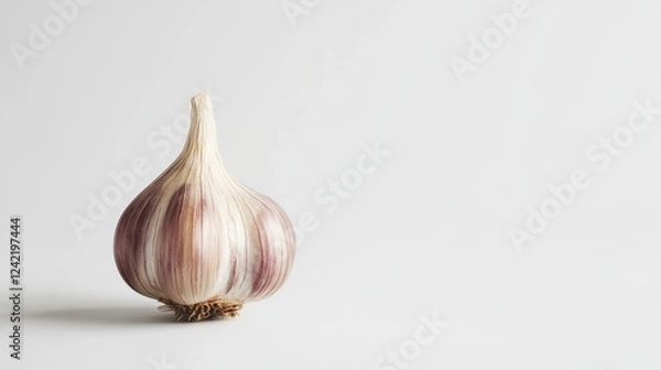 Fototapeta Garlic Bulb: A close-up studio shot showcases a single, fresh garlic bulb, its papery skin displaying subtle textures and colors, suggesting culinary versatility and health benefits. 