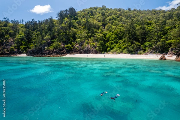 Fototapeta Snorkelling Mantaray Bay Hook Island in the Whitsundays