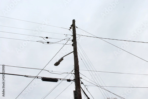 Obraz Power Line Pole