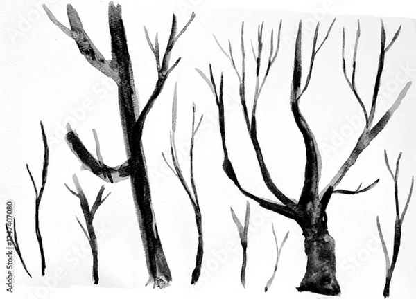 Obraz 木のシルエット-03