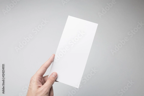 Obraz Hand holding DL Flyer