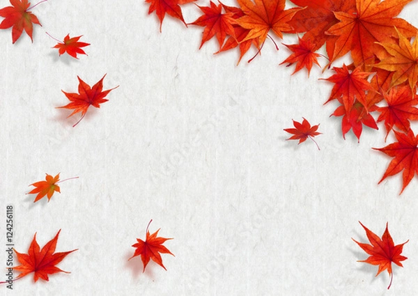 Fototapeta 紅葉　フレーム 